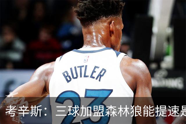 考辛斯：三球加盟森林狼能提速是加分项 他和爱德华兹非常契合